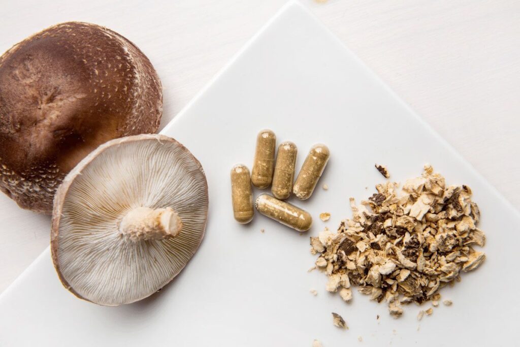 Medicinal Mushrooms